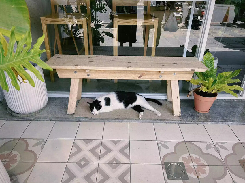 2023礁溪住宿CP首選 | 番茄溫泉青旅 Hostel T 2023礁溪住宿CP首選 | 番茄溫泉青旅 Hostel T