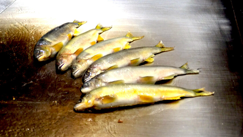 [台北-內湖] 味屋私廚北海道葡萄酒餐酒會，鐵板燒VS葡萄酒