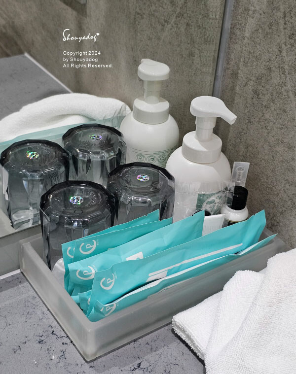 【桃園住宿】青埔商旅一泊二食 母女輕旅行首選  Angle 