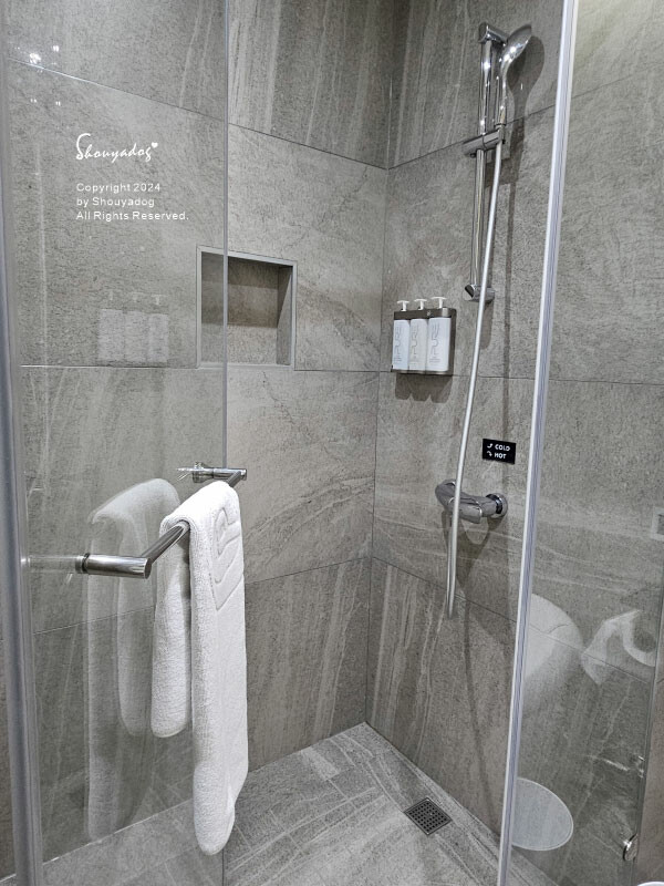 【桃園住宿】青埔商旅一泊二食 母女輕旅行首選  Angle 