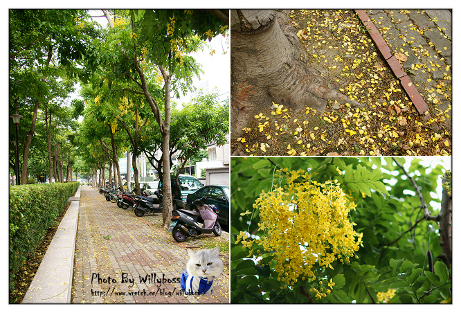 明森宇治抹茶專賣店(台中西區)