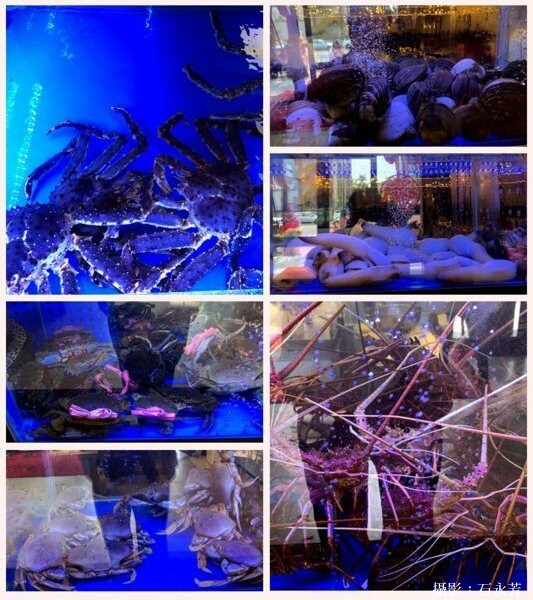 【台中美食】阿秋大肥鵝海鮮樓頂級現撈海鮮,料理職人手做創意美味。