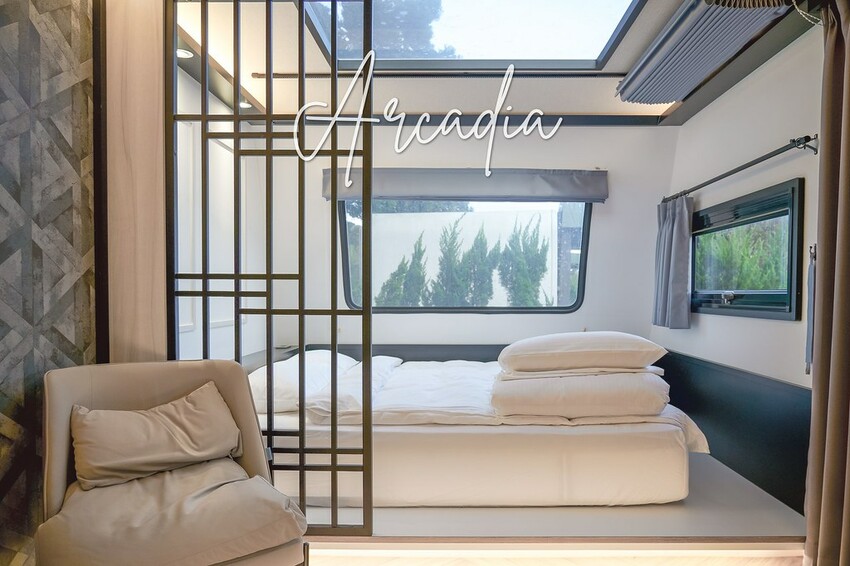 DSC05250修 DSC05250修