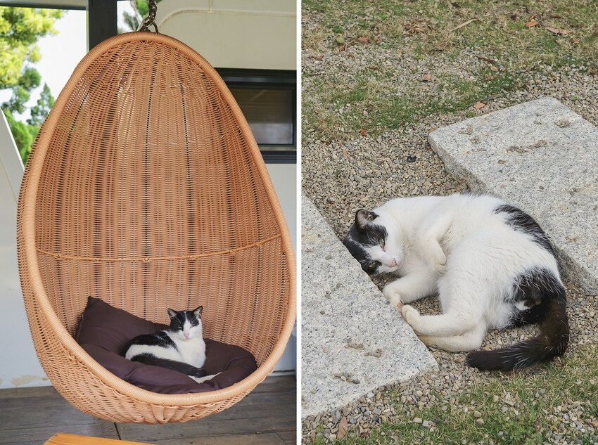 DSC05525-side DSC05525-side