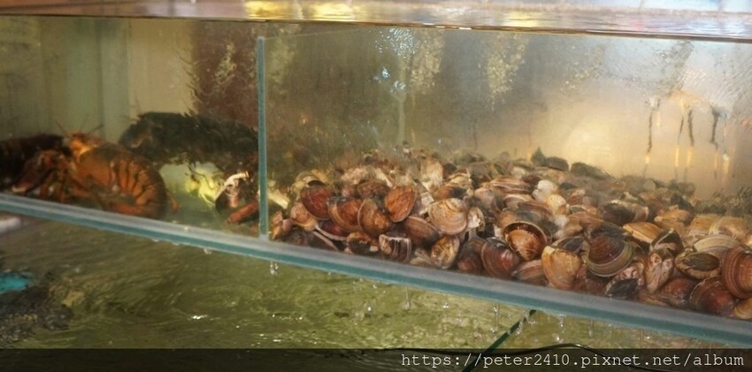 雙囍鍋物 (8).jpg