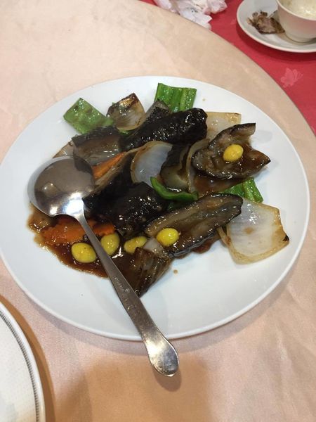 16196880_120300001698738664_947618232_o