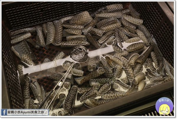 千葉火鍋(大昌尊爵館)：『愛評體驗券』讓你在這度過最快樂的聚餐時光，尋找最初的快樂－千葉火鍋/大昌尊爵館