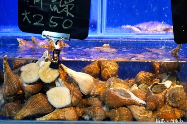 台中科博館美食推薦「飽閤醉酒店」四人餐豪華五層海鮮塔1000元