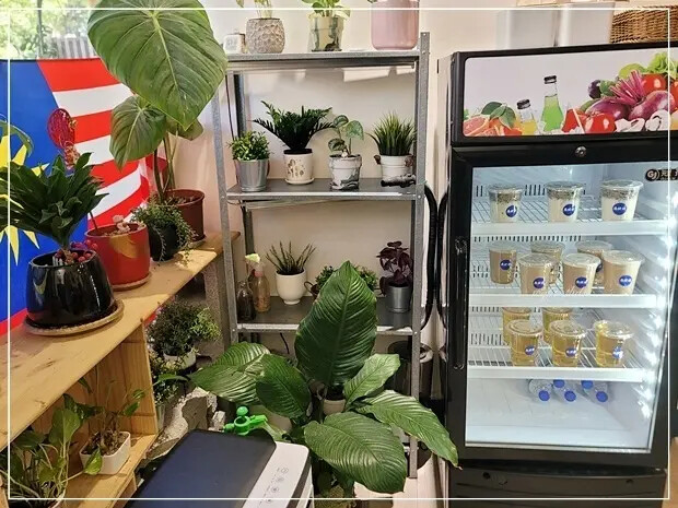 台中必吃正宗馬來西亞美食！叻沙、肉骨茶一次滿足，平價又美味。