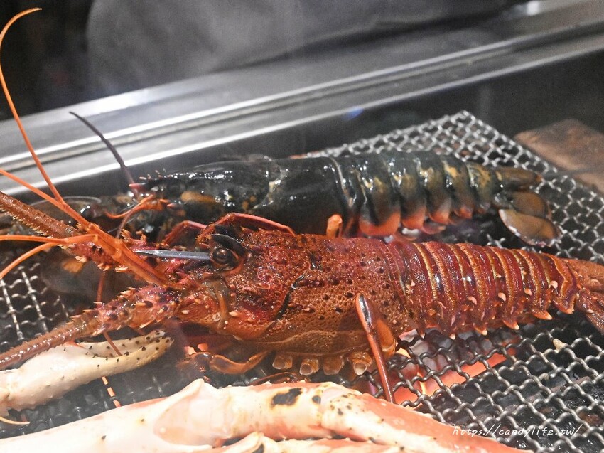 初海食堂｜台中厲害深夜食堂，純炭火直烤帝王蟹、龍蝦，生日壽星再送烤松葉蟹腳，台中碳烤海鮮推薦～