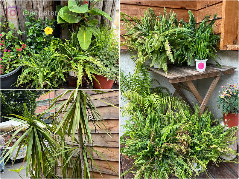 ＋（台中豆花）山海豆花 @ 台中審計新村～審計新村必吃排隊美食！綿密豆花細緻口感超喜歡～沒吃過別說來過審計新村！山海豆花菜單