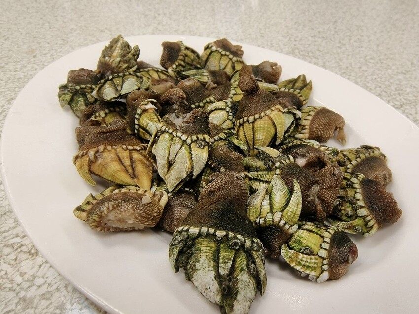 59923.jpg - 【基隆】大武崙海灘美食推薦。陳平良烤鴨美味的一鴨六吃來自馬祖的海鮮佛手+海螺+鰻魚 59923.jpg - 【基隆】大武崙海灘美食推薦。陳平良烤鴨美味的一鴨六吃來自馬祖的海鮮佛手+海螺+鰻魚