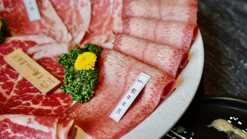 [桃園] IKKON SHABU鍋物｜桃園海鮮火鍋推薦！隱身巷內的高質感火鍋店～桃園調酒／桃園和牛火鍋／桃園頂級火