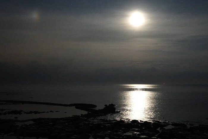 一中商圈推薦「肉部長韓式平價烤肉鍋物」自助吧無限暢飲(吃)