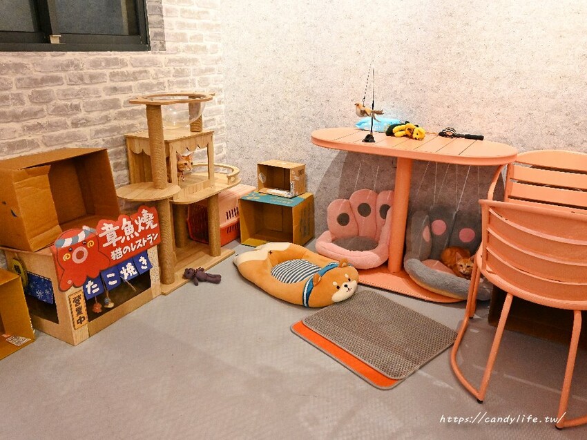 米克C房｜台中隱藏版寵物友善港式特色料理，餐點道道令人驚豔，還有毛小孩料理～