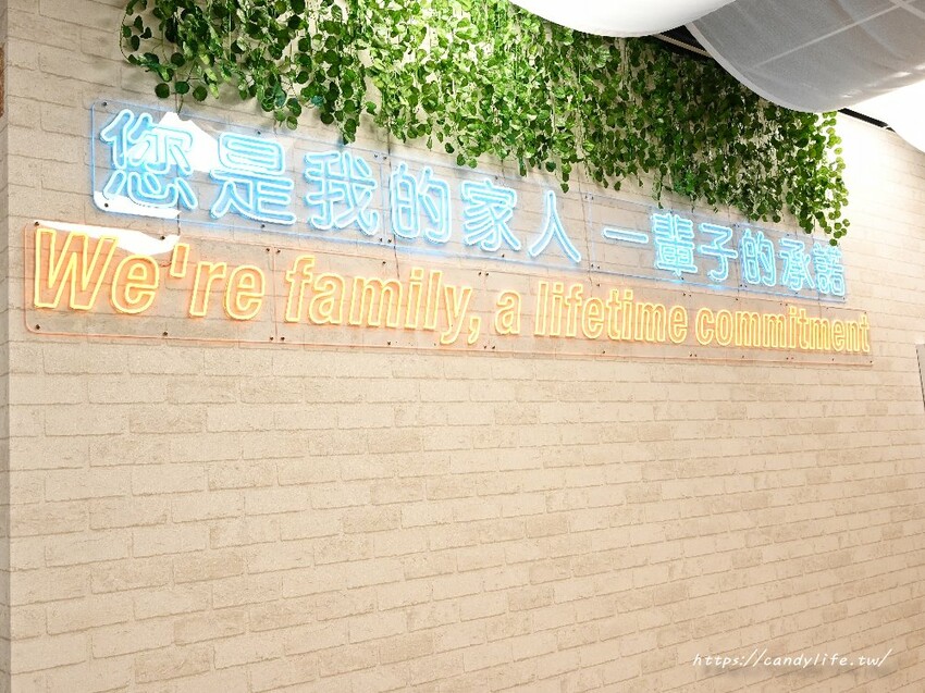 米克C房｜台中隱藏版寵物友善港式特色料理，餐點道道令人驚豔，還有毛小孩料理～