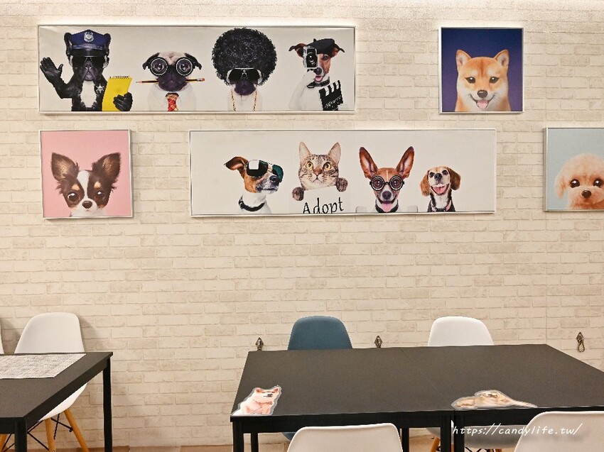 米克C房｜台中隱藏版寵物友善港式特色料理，餐點道道令人驚豔，還有毛小孩料理～