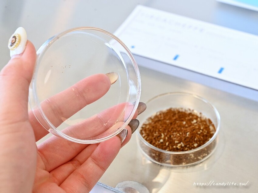 kafeD台中水湳旗艦店|全台最美德式職人咖啡館就在台中!包浩斯風格結合專業咖啡及甜點工藝,還吃得到蜷尾家霜淇淋~