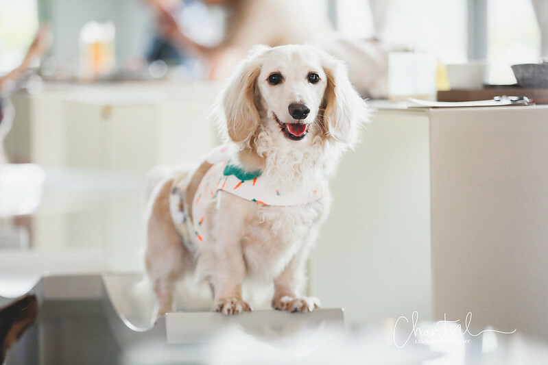 _J6A3655-2拷貝 拷貝