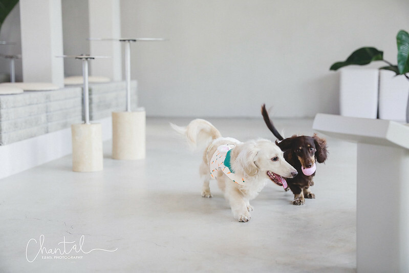 _J6A3778-2拷貝 拷貝