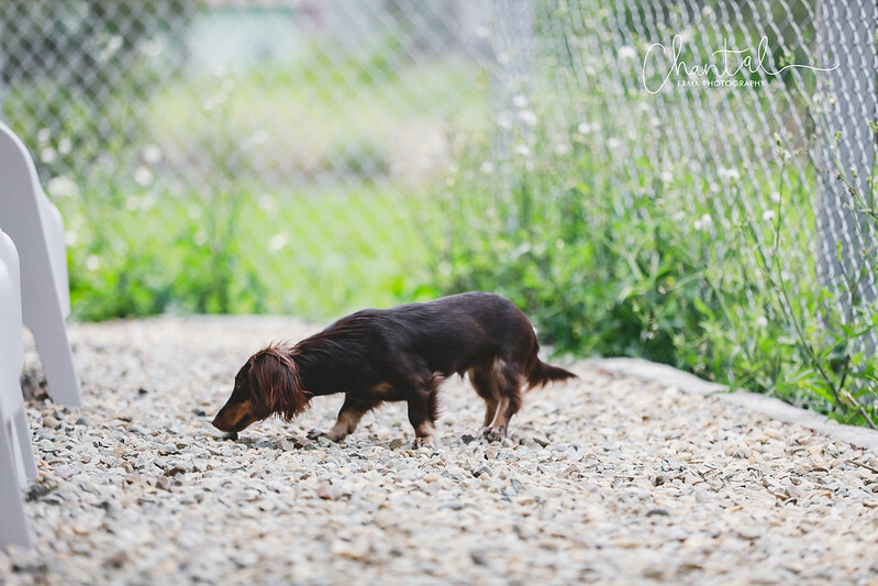 _J6A3453-2拷貝 拷貝