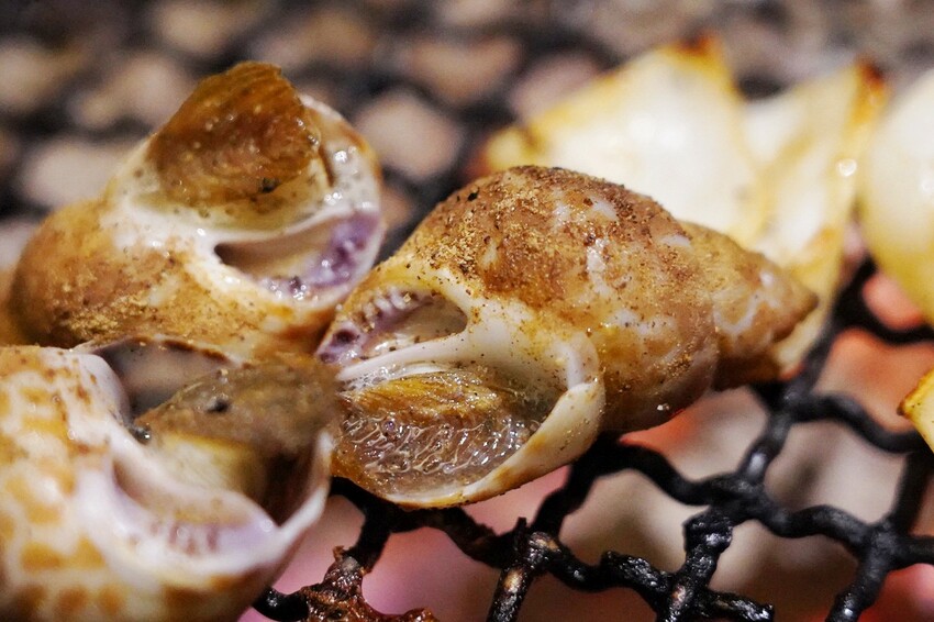 498元就能燒肉吃到飽!菜單+自助超過100種選擇,120分鐘讓你點滿,688元就有和牛、神戶牛、牛舌~