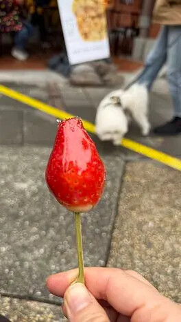 IMG_7767.jpg IMG_7767.jpg