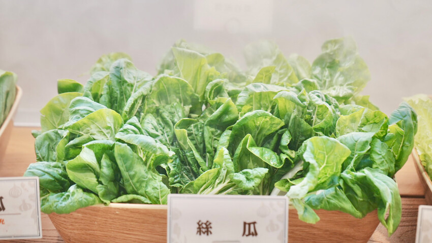 台北市大安區[台北美食] 和牛涮2.0來了！關西關東壽喜燒一次滿足｜期間限定紫薯芋泥鯛魚燒