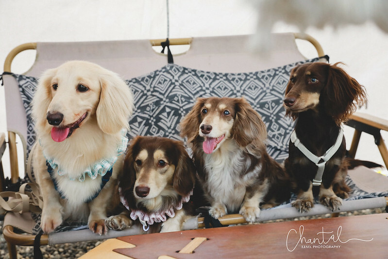 _J6A0798-2拷貝 拷貝