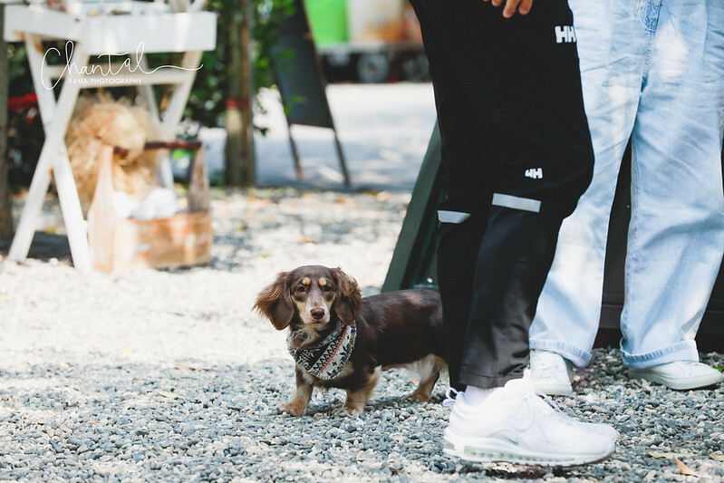 _J6A9977-2拷貝 拷貝