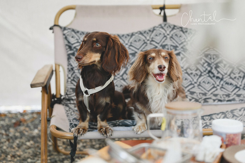 _J6A1083-2拷貝 拷貝