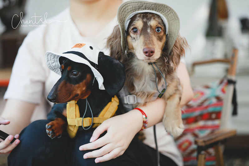 _J6A9990-2拷貝 拷貝