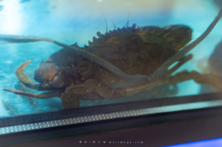 芳 和牛海鮮精緻鍋物｜中壢超狂和牛海鮮鍋物專賣店，秋季蟹霸王套餐日本頂級和牛+當季活體海鮮盤最低只要69