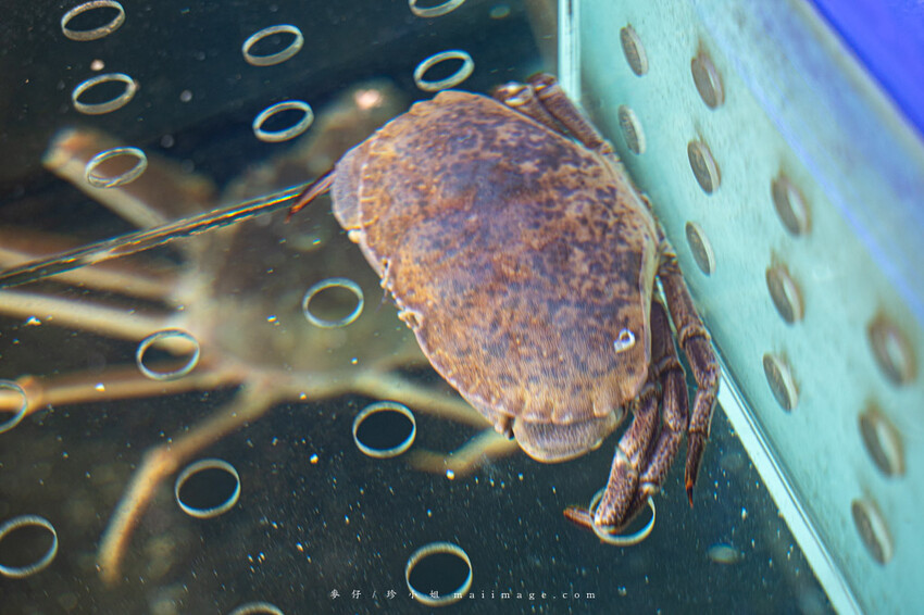 芳 和牛海鮮精緻鍋物｜中壢超狂和牛海鮮鍋物專賣店，秋季蟹霸王套餐日本頂級和牛+當季活體海鮮盤最低只要69