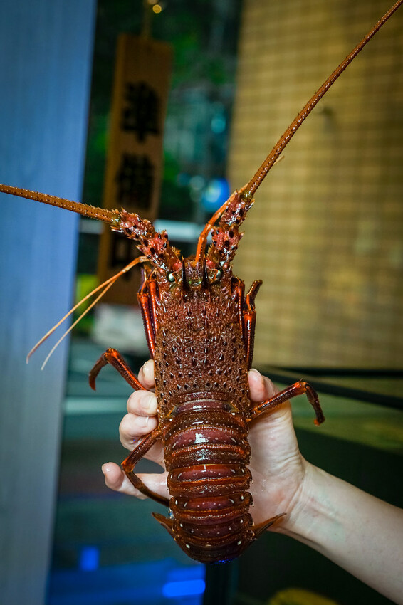 【中壢火鍋推薦】豪華活體海鮮超澎湃,大份量頂級和牛肉盤,還有超浮誇爆卵海膽飯都讓人愛不釋口|芳 海鮮