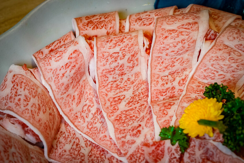 【中壢火鍋推薦】豪華活體海鮮超澎湃,大份量頂級和牛肉盤,還有超浮誇爆卵海膽飯都讓人愛不釋口|芳 海鮮