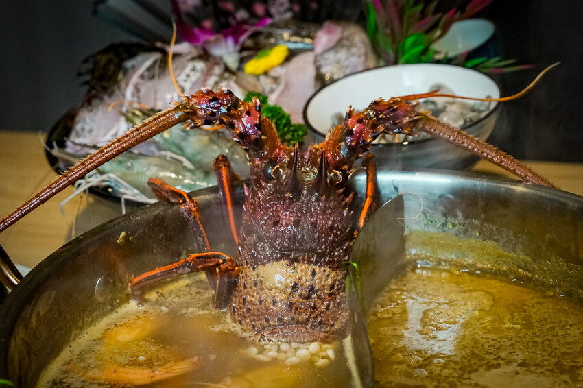 【中壢火鍋推薦】豪華活體海鮮超澎湃,大份量頂級和牛肉盤,還有超浮誇爆卵海膽飯都讓人愛不釋口|芳 海鮮