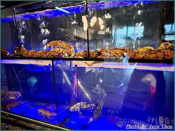 《桃園火鍋推薦》夏日就是要吃鍋/海鮮控的最愛/水產公司直營海