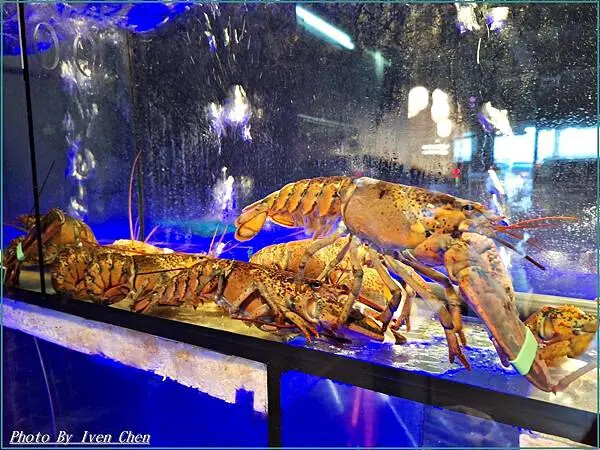《桃園火鍋推薦》夏日就是要吃鍋/海鮮控的最愛/水產公司直營海