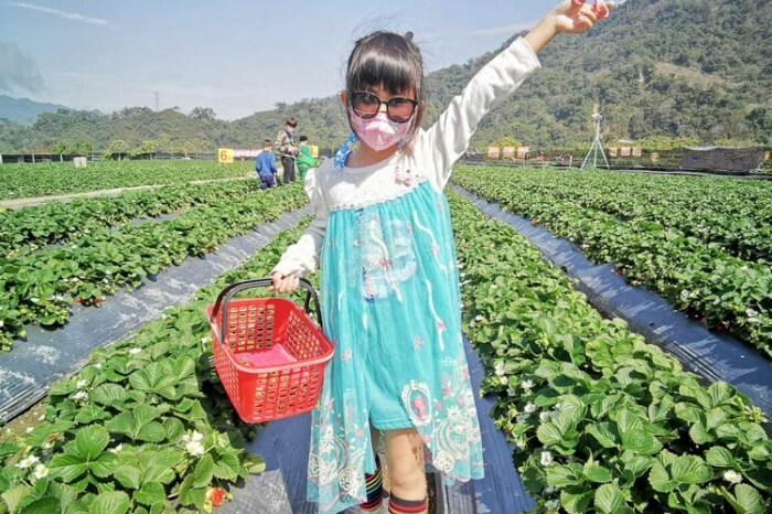 台東。台東市》浪閣民宿33.35。可愛的卡通主題房型