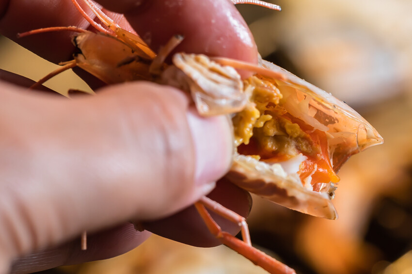 鳳山美食 – 野饌日式燒肉吃到飽 x 不只燒肉！泰國蝦生蚵啤酒暢飲！