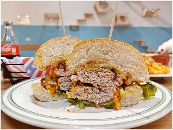 南投 走起擼貓 (60).jpg