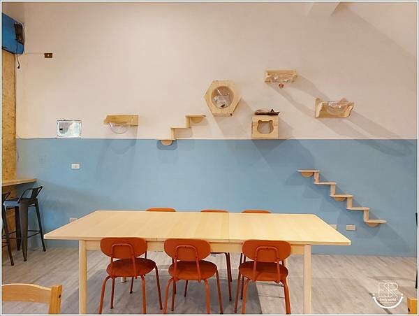 南投 走起擼貓 (43).jpg