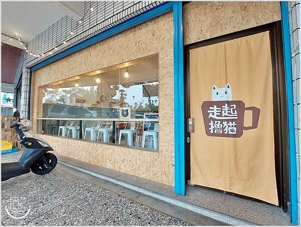 南投 走起擼貓 (45).jpg