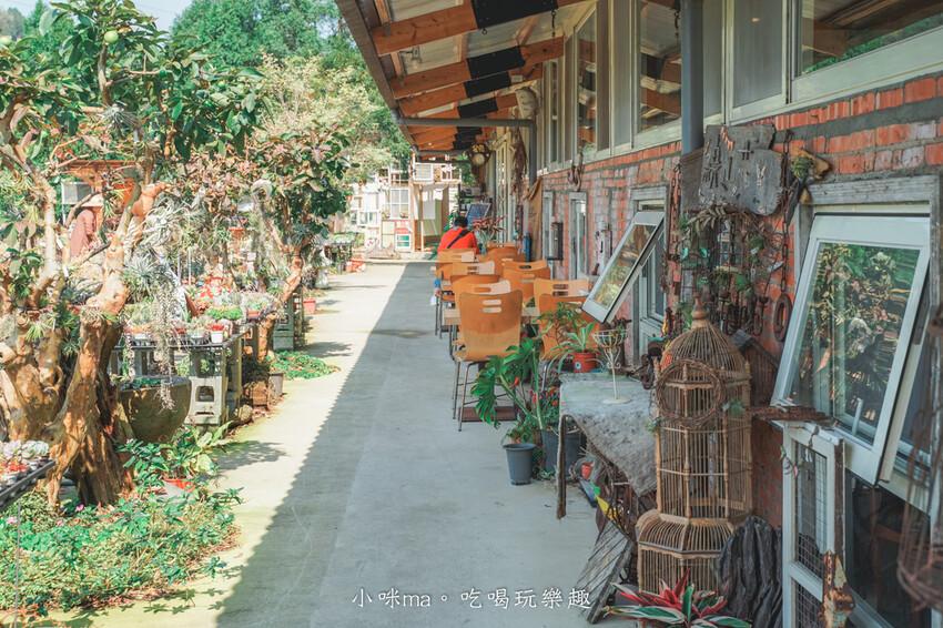 三和青創基地-繞山花｜免門票多肉植物園，DIY多肉盆栽太療癒，晴天、雨天這裡都好好玩～，龍潭美食、桃園親子景點
