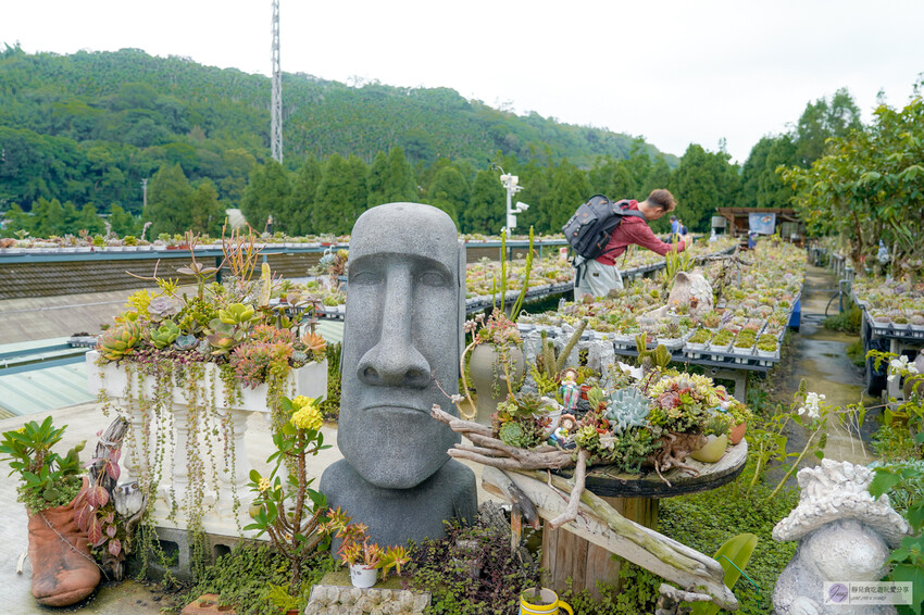 桃園市龍潭區美食，山裡的盆栽世界與錦鯉，獨特甜點等你探索。