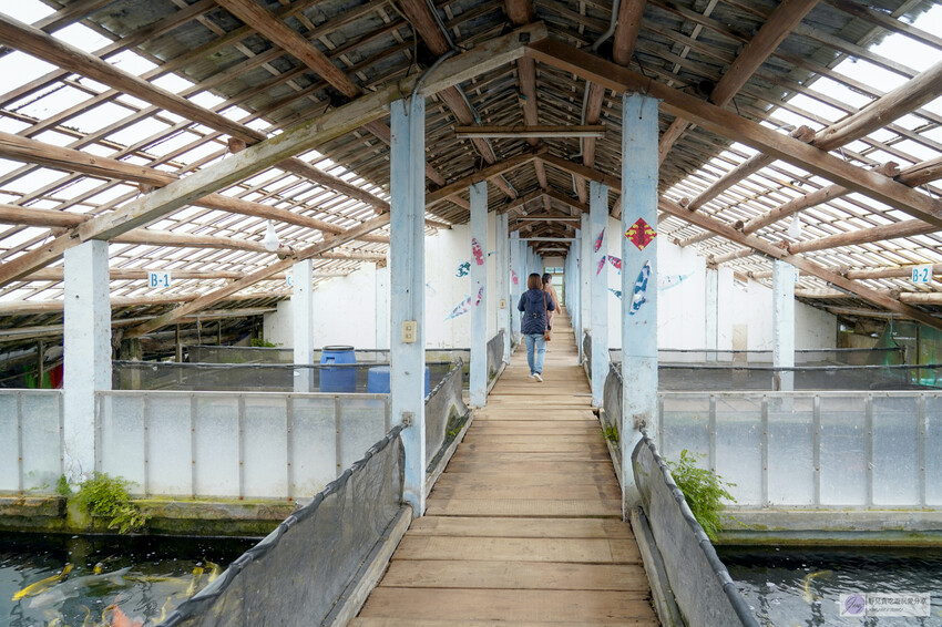 桃園市龍潭區美食，山裡的盆栽世界與錦鯉，獨特甜點等你探索。