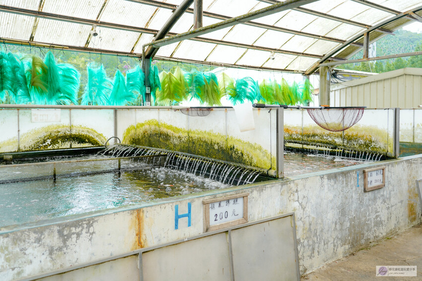 桃園市龍潭區美食，山裡的盆栽世界與錦鯉，獨特甜點等你探索。