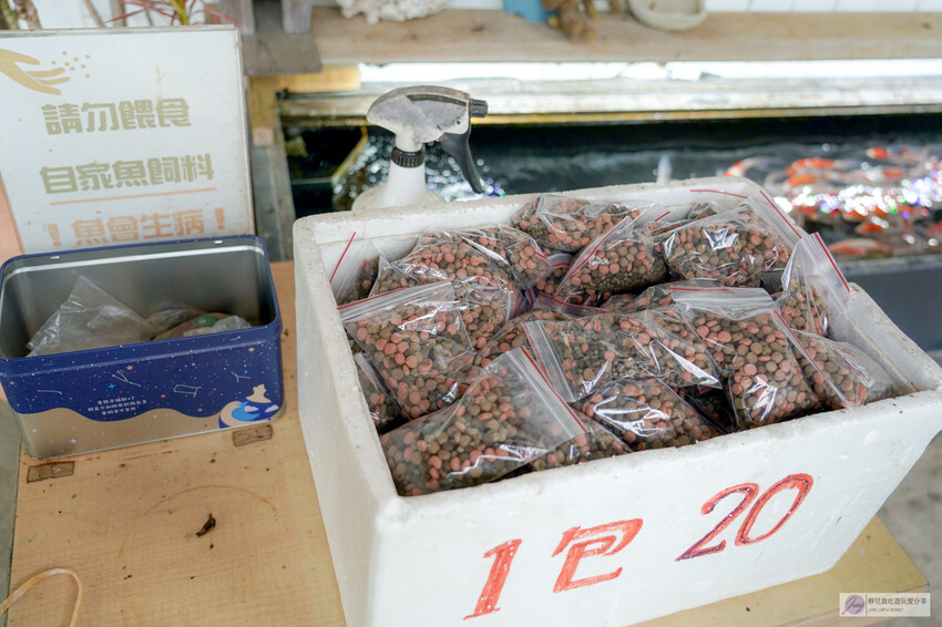 桃園市龍潭區美食，山裡的盆栽世界與錦鯉，獨特甜點等你探索。