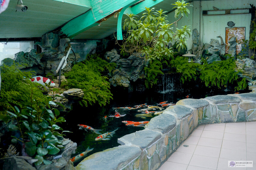桃園市龍潭區美食，山裡的盆栽世界與錦鯉，獨特甜點等你探索。